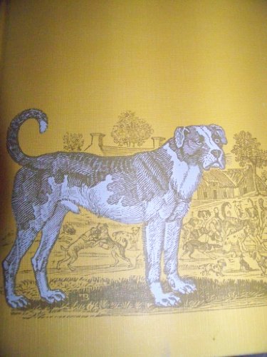 Beispielbild fr Dogs (Treasury S.) zum Verkauf von WorldofBooks