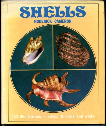 Beispielbild fr Shells zum Verkauf von Wonder Book