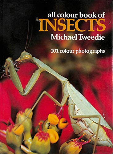 Stock image for Insects (All Colour Books S.) for sale by WorldofBooks