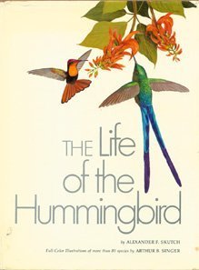 Beispielbild fr Life of the Hummingbird zum Verkauf von WorldofBooks