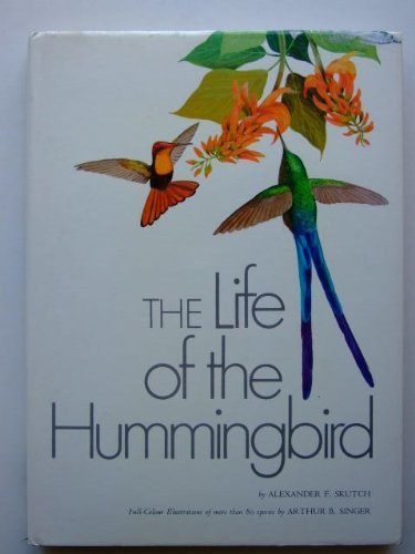 Stock image for Life of the Hummingbird for sale by Discover Books