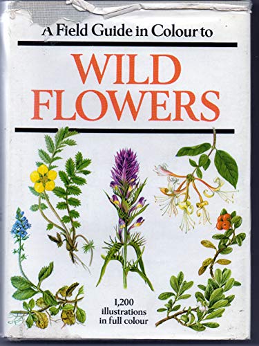 Beispielbild fr Field Gde To Wild Flower zum Verkauf von AwesomeBooks