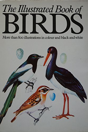 Stock image for Illustrated Book of Birds for sale by AwesomeBooks