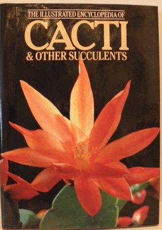 Stock image for The Illustrated Encyclopedia of Cacti & Other Succulents for sale by Better World Books