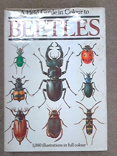 9780706419375: Field Guide in Colour to Beetles