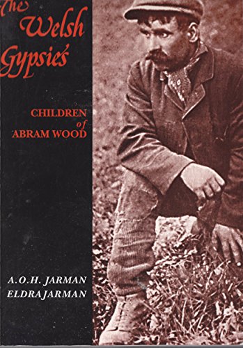 9780708315026: The Welsh Gypsies: Children of Abram Wood (University of Wales - Pocket Guide)