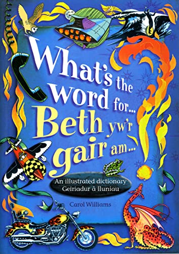 Beispielbild fr What's the Word For.?: Beth Yw'r Gair Am.? zum Verkauf von WorldofBooks