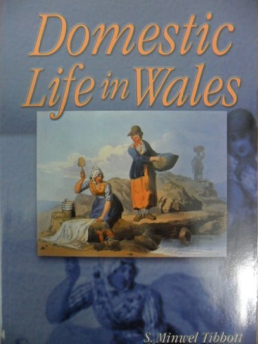 9780708317464: Domestic Life in Wales