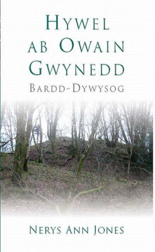 9780708321621: Hywel Ab Owain Gwynedd (Welsh Edition)