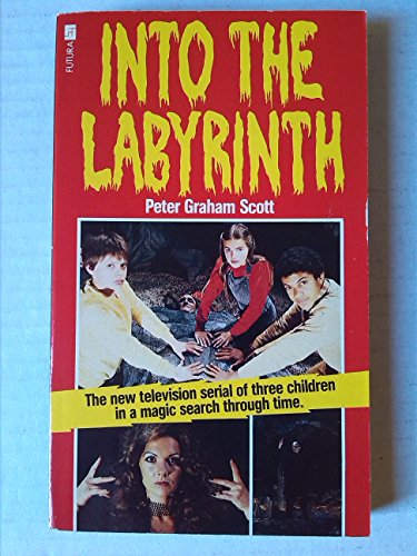 Beispielbild fr Into the Labyrinth zum Verkauf von Re-Read Ltd