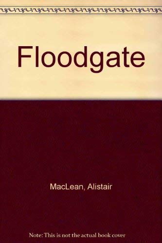 9780708912164: Floodgate (Ulverscroft large print)