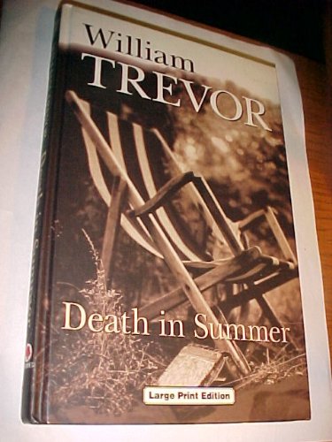 9780708990919: Death in Summer