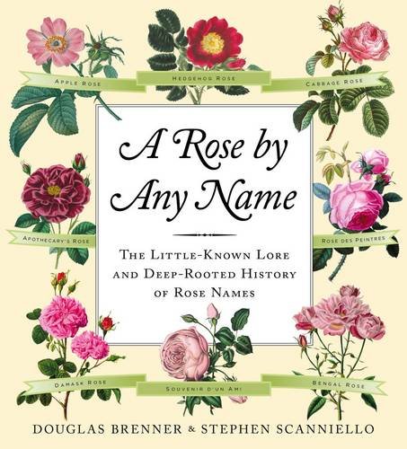 Imagen de archivo de A Rose by Any Name a la venta por AwesomeBooks
