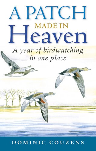 9780709091127: Patch Made in Heaven: A Year of Birdwatching in One Place