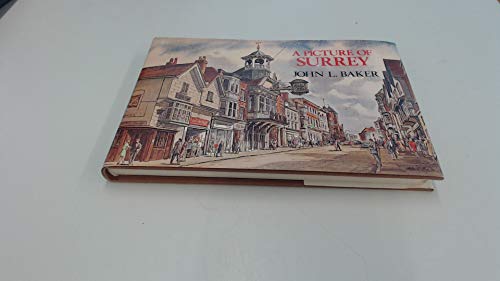 Beispielbild fr Picture of Surrey zum Verkauf von Robert S. Brooks, Bookseller