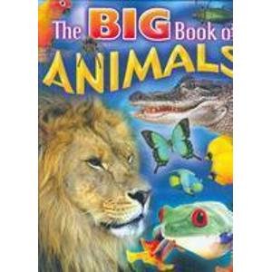 Stock image for The Big Book of Animals for sale by WorldofBooks
