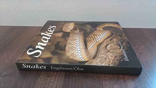 Stock image for Snakes: Biology, Behaviour and Relationship to Man for sale by WorldofBooks