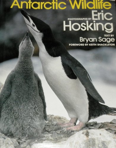 Beispielbild fr Antarctic Wildlife zum Verkauf von Booketeria Inc.