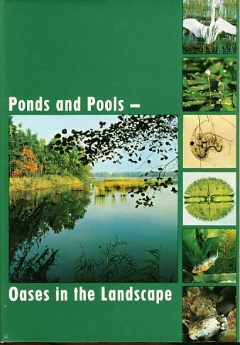 PONDS AND POOLS OASES IN THE LANDSCAPE