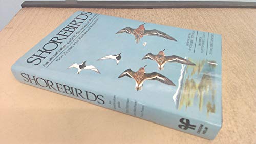 9780709920342: Shore Birds: Identification Guide to Waders of the World