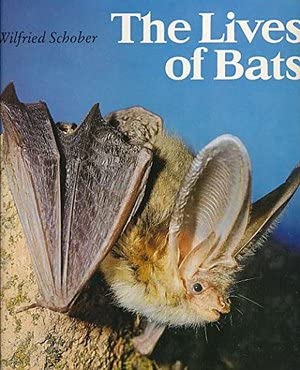 Beispielbild fr Lives of Bats zum Verkauf von WorldofBooks