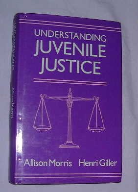 Beispielbild fr Understanding Juvenile Justice. zum Verkauf von Plurabelle Books Ltd