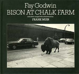 Stock image for Bison at Chalk Farm and Other Snaps for sale by Tornbooks