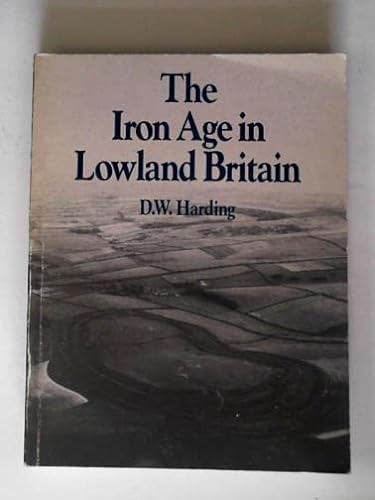 Beispielbild fr The Iron Age in Lowland Britain zum Verkauf von AwesomeBooks