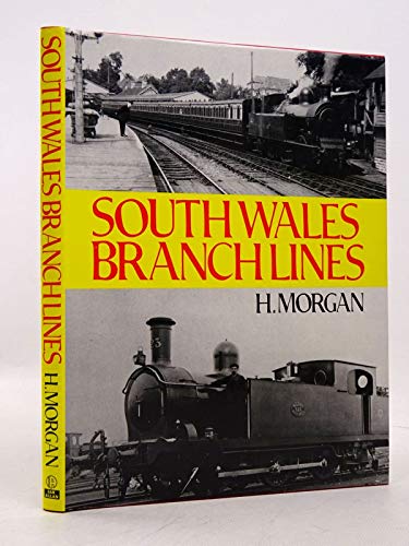 Stock image for South Wales Branch Lines for sale by Broad Street Book Centre
