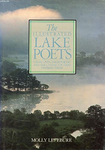 Stock image for Illustrated Lake Poets for sale by AwesomeBooks