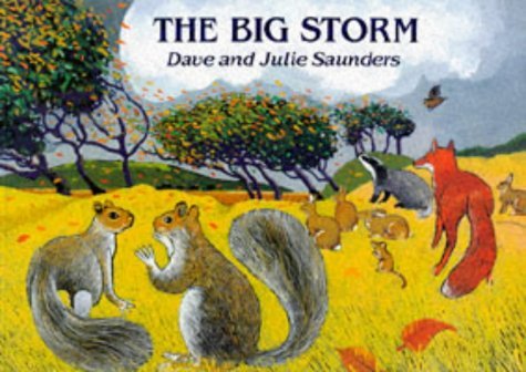 Stock image for The Big Storm for sale by Goldstone Books
