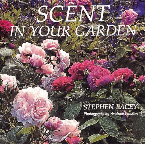 Beispielbild fr Scent in Your Garden zum Verkauf von AwesomeBooks