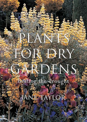 Plants for Dry Gardens - Taylor, Jane