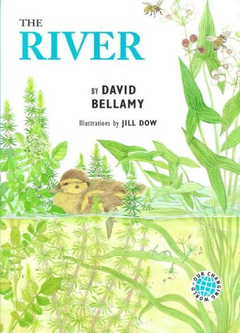 Stock image for The River (Our Changing World S.) for sale by WorldofBooks