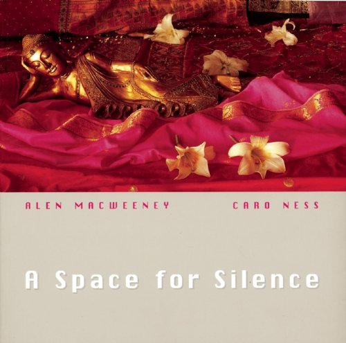 Stock image for A Space for Silence for sale by Wonder Book