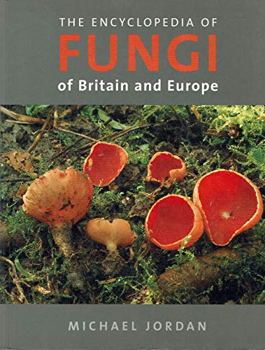 Stock image for The Encyclopedia of Fungi of Britain and Europe for sale by WorldofBooks