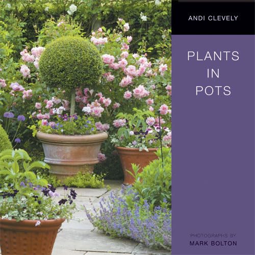 Stock image for Plants in Pots for sale by WorldofBooks