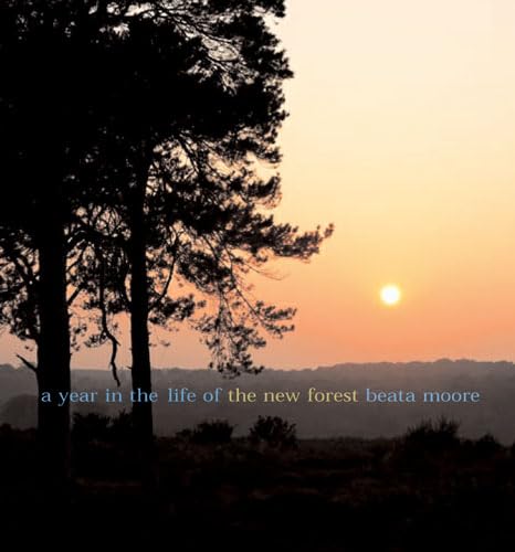 Imagen de archivo de A Year in the Life of the New Forest a la venta por WorldofBooks