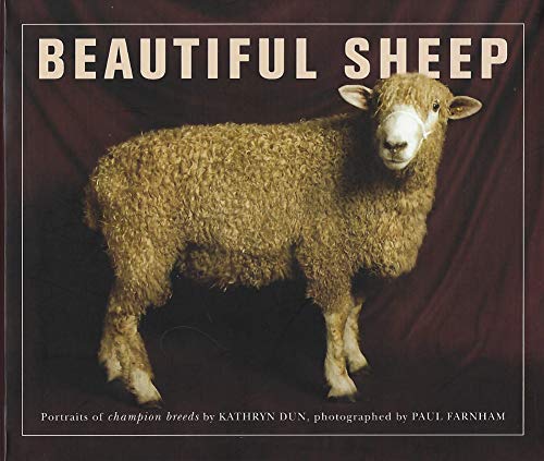 Beispielbild fr Beautiful Sheep: Portraits of Champion Breeds zum Verkauf von WorldofBooks