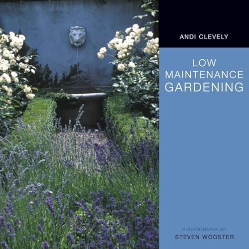 Stock image for Low Maintenance Gardening: A Time-saving Guide to Trouble-free Gardening for sale by WorldofBooks