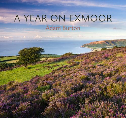 9780711229792: A Year on Exmoor