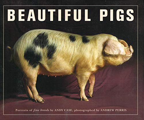 Imagen de archivo de Beautiful Pigs: Portraits of Fine Breeds a la venta por WorldofBooks