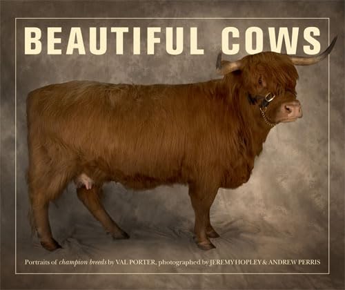 Stock image for Beautiful Cows for sale by WorldofBooks