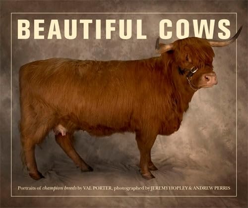 9780711230811: BEAUTIFUL COWS /ANGLAIS