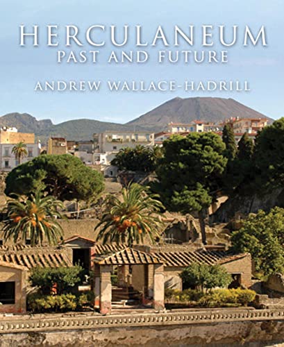 Stock image for Herculaneum: Past and Future for sale by Irish Booksellers