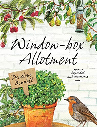 Stock image for Window-box Allotment for sale by AwesomeBooks