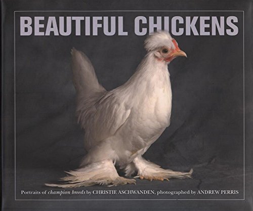 9780711231924: Beautiful Chickens
