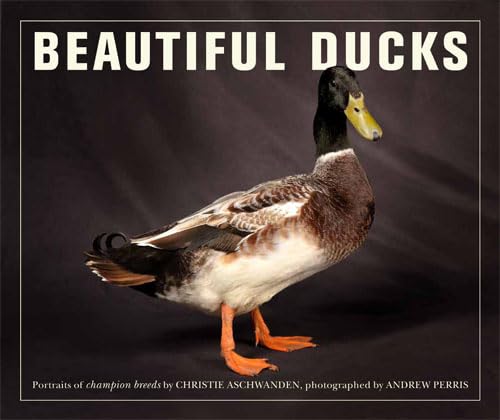 Imagen de archivo de Beautiful Ducks a la venta por ThriftBooks-Atlanta