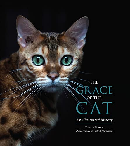 Beispielbild fr The Grace of the Cat: An Illustrated History zum Verkauf von WorldofBooks