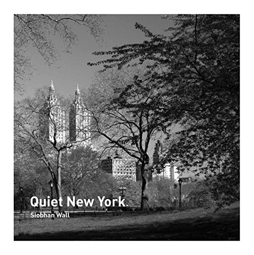 Beispielbild fr Quiet New York zum Verkauf von ThriftBooks-Dallas